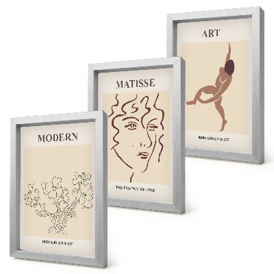 Juego de 3 cuadros decorativos Gráficos elegantes con flores, rostros y figuras humanas.