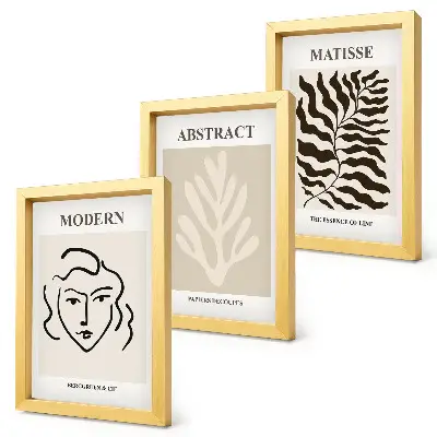Juego de 3 cuadros decorativos con ilustraciones de rostros y hojas al estilo de Henri Matisse