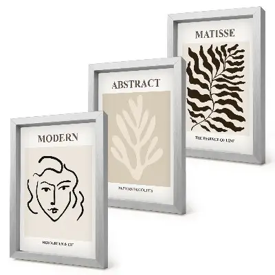 Juego de 3 cuadros decorativos con ilustraciones de rostros y hojas al estilo de Henri Matisse
