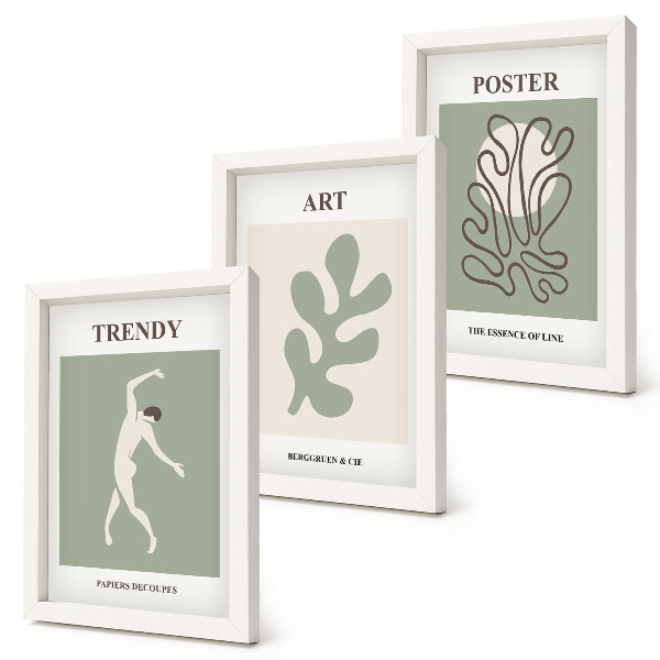 Juego de 3 cuadros decorativos Figuras abstractas y motivos vegetales en colores apagados.