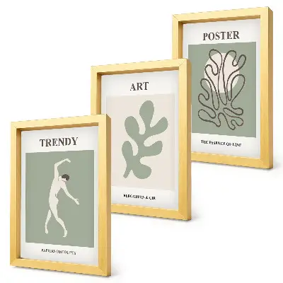 Juego de 3 cuadros decorativos con figuras abstractas y motivos vegetales en colores apagados
