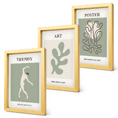 Juego de 3 cuadros decorativos Figuras abstractas y motivos vegetales en colores apagados.