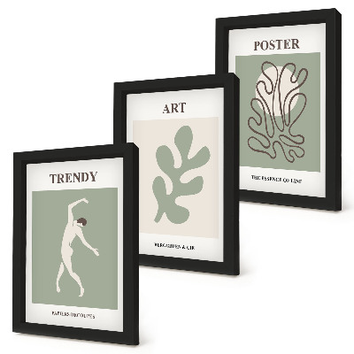 Juego de 3 cuadros decorativos Figuras abstractas y motivos vegetales en colores apagados.