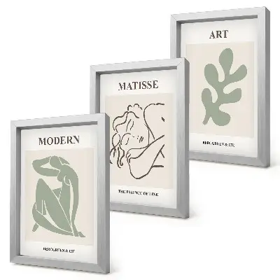 Juego de 3 cuadros decorativos con diseño minimalista de personajes y plantas