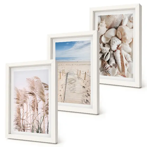 Juego de 3 cuadros decorativos motivo de playa arenosa con conchas y algas marinas