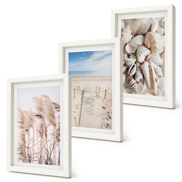 Juego de 3 cuadros decorativos Playa arenosa con conchas y algas marinas.