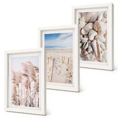 Juego de 3 cuadros decorativos Playa arenosa con conchas y algas marinas.