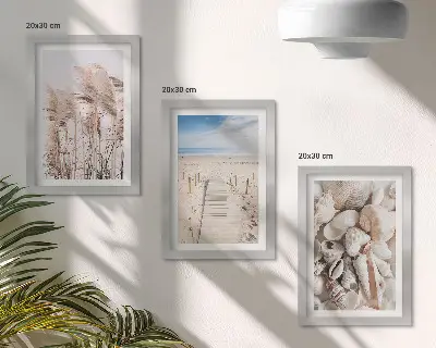 Juego de 3 cuadros decorativos motivo de playa arenosa con conchas y algas marinas