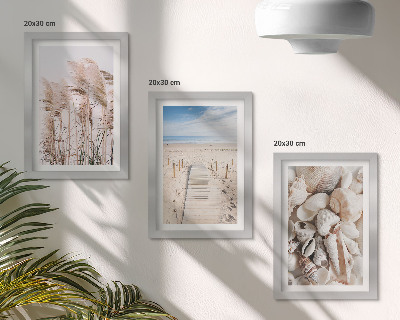 Juego de 3 cuadros decorativos Playa arenosa con conchas y algas marinas.
