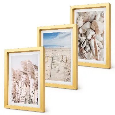 Juego de 3 cuadros decorativos motivo de playa arenosa con conchas y algas marinas
