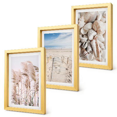 Juego de 3 cuadros decorativos Playa arenosa con conchas y algas marinas.