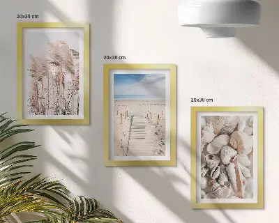 Juego de 3 cuadros decorativos motivo de playa arenosa con conchas y algas marinas