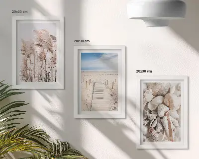 Juego de 3 cuadros decorativos motivo de playa arenosa con conchas y algas marinas
