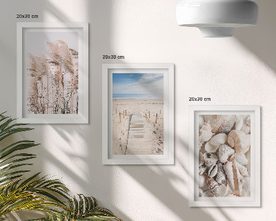 Juego de 3 cuadros decorativos Playa arenosa con conchas y algas marinas.