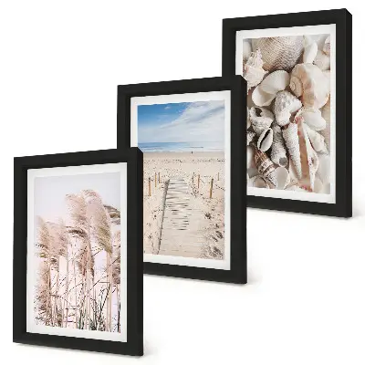 Juego de 3 cuadros decorativos motivo de playa arenosa con conchas y algas marinas