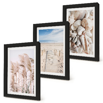 Juego de 3 cuadros decorativos Playa arenosa con conchas y algas marinas.