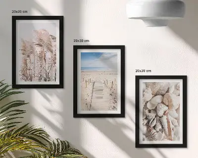 Juego de 3 cuadros decorativos motivo de playa arenosa con conchas y algas marinas