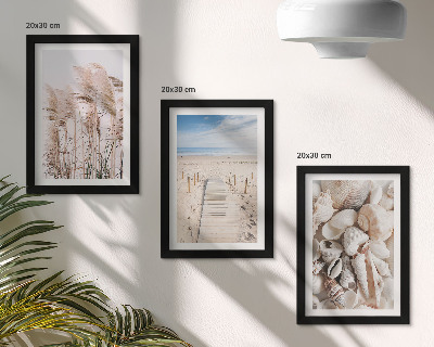 Juego de 3 cuadros decorativos Playa arenosa con conchas y algas marinas.