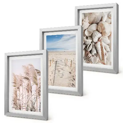 Juego de 3 cuadros decorativos motivo de playa arenosa con conchas y algas marinas