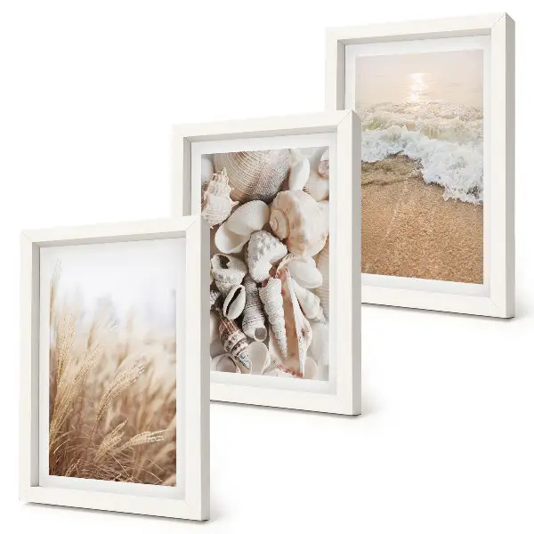 Juego de 3 cuadros decorativos con motivos de conchas y olas del mar