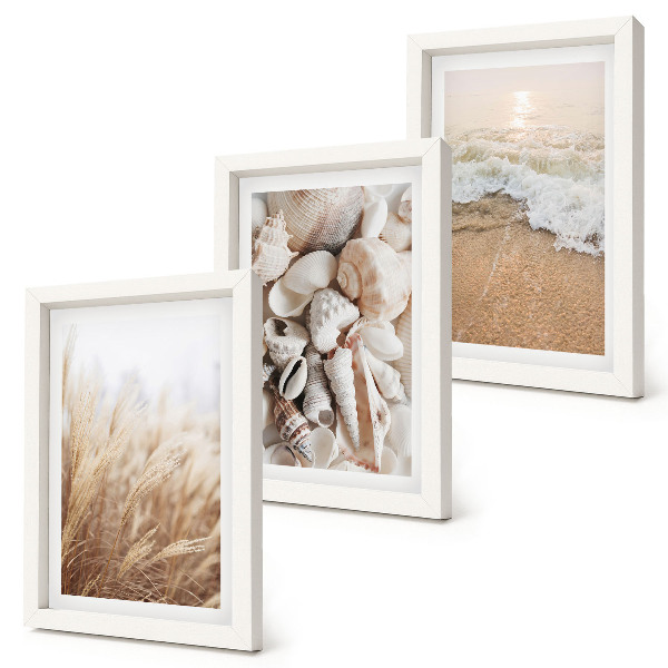 Juego de 3 cuadros decorativos Motivos playeros con conchas y olas del mar.