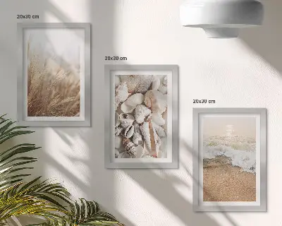 Juego de 3 cuadros decorativos con motivos de conchas y olas del mar