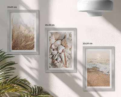Juego de 3 cuadros decorativos Motivos playeros con conchas y olas del mar.