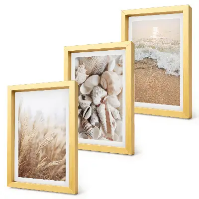 Juego de 3 cuadros decorativos con motivos de conchas y olas del mar