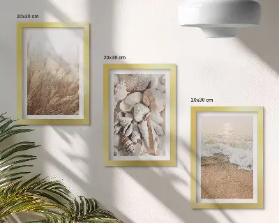 Juego de 3 cuadros decorativos con motivos de conchas y olas del mar