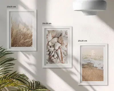 Juego de 3 cuadros decorativos con motivos de conchas y olas del mar