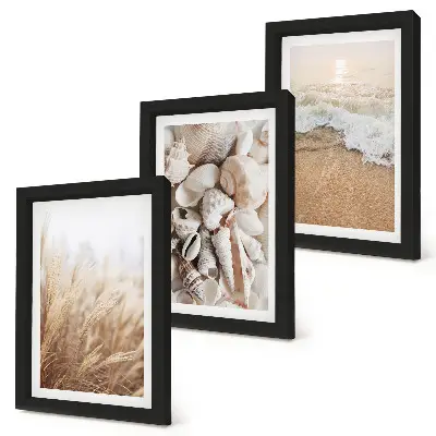 Juego de 3 cuadros decorativos con motivos de conchas y olas del mar