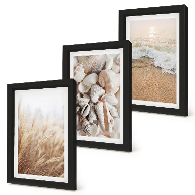 Juego de 3 cuadros decorativos Motivos playeros con conchas y olas del mar.
