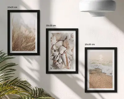 Juego de 3 cuadros decorativos con motivos de conchas y olas del mar