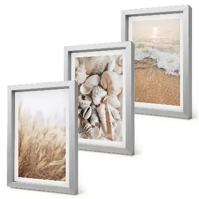 Juego de 3 cuadros decorativos con motivos de conchas y olas del mar