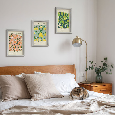 Juego de 3 cuadros decorativos Diseños frutales con cítricos y flores de estilo vintage.