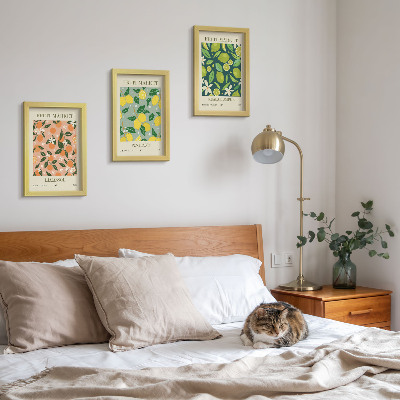 Juego de 3 cuadros decorativos Diseños frutales con cítricos y flores de estilo vintage.