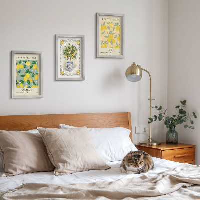 Juego de 3 cuadros decorativos Carteles italianos sobre cítricos y frutas