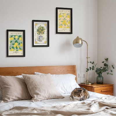 Juego de 3 cuadros decorativos Carteles italianos sobre cítricos y frutas
