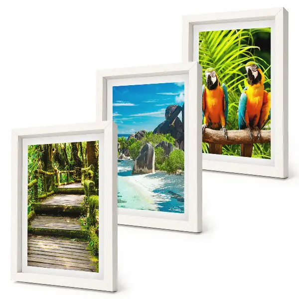Tríptico enmarcado bosque tropical con cascada y loros coloridos
