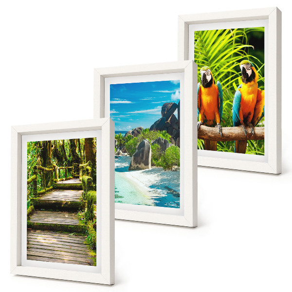 Tríptico enmarcado Bosque tropical con una cascada y loros coloridos.