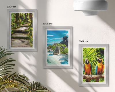 Tríptico enmarcado Bosque tropical con una cascada y loros coloridos.