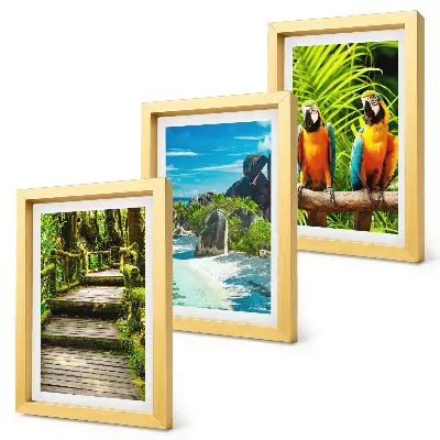 Tríptico enmarcado bosque tropical con cascada y loros coloridos