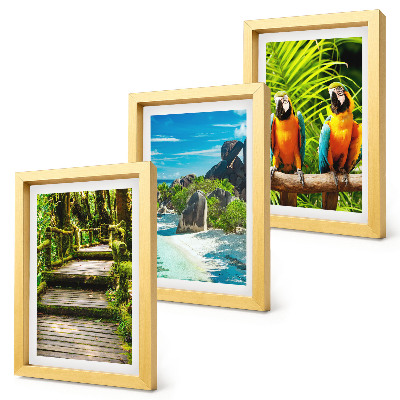 Tríptico enmarcado Bosque tropical con una cascada y loros coloridos.