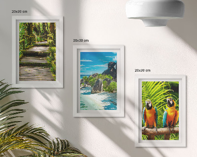 Tríptico enmarcado Bosque tropical con una cascada y loros coloridos.