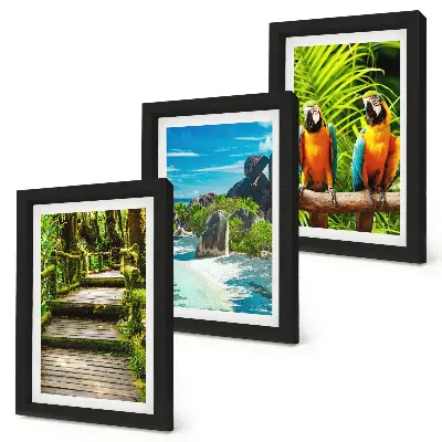 Tríptico enmarcado bosque tropical con cascada y loros coloridos