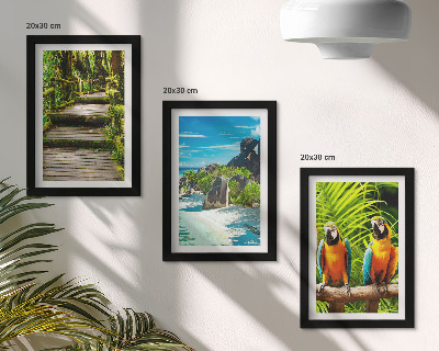 Tríptico enmarcado Bosque tropical con una cascada y loros coloridos.