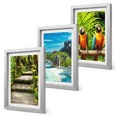 Tríptico enmarcado bosque tropical con cascada y loros coloridos