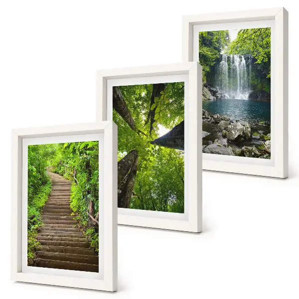 Juego de 3 cuadros decorativos con diseño de sendero forestal, cascada y vegetación verde