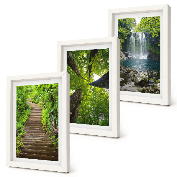 Juego de 3 cuadros decorativos Sendero forestal con cascada y vegetación verde.