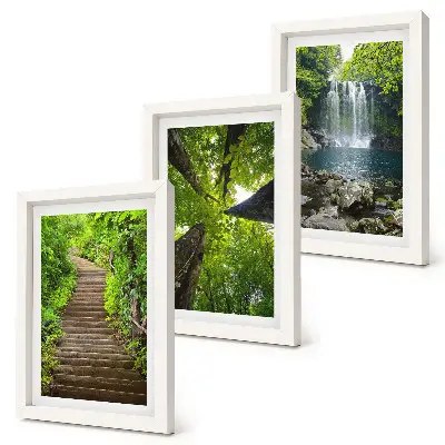 Juego de 3 cuadros decorativos con diseño de sendero forestal, cascada y vegetación verde